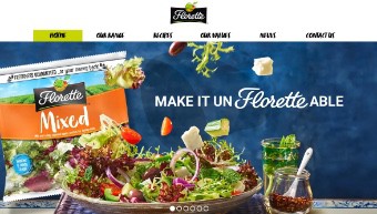Rebel Recipes Website Work with Niki Florette Image